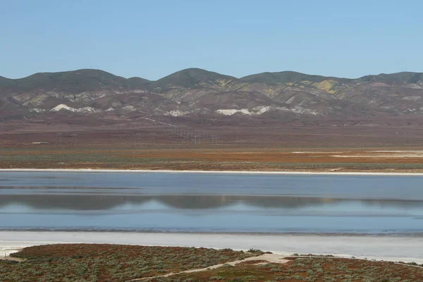 Superbloom Carrizo düz Ulusal Anıtı — Stok fotoğraf