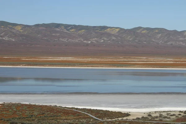 Superbloom Carrizo pianura monumento nazionale — Foto Stock