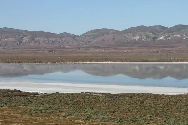 Superbloom Carrizo düz Ulusal Anıtı — Stok fotoğraf