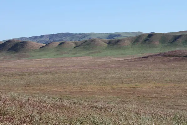 Superbloom Carrizo plain national monument — Stock Photo, Image