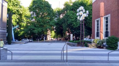 Portland Sanat Müzesi