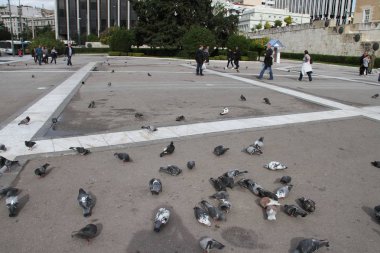 Atina Yunanistan şehrinin görünümü