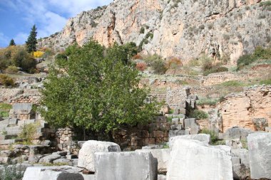 Oracle, Delphi, Yunanistan,