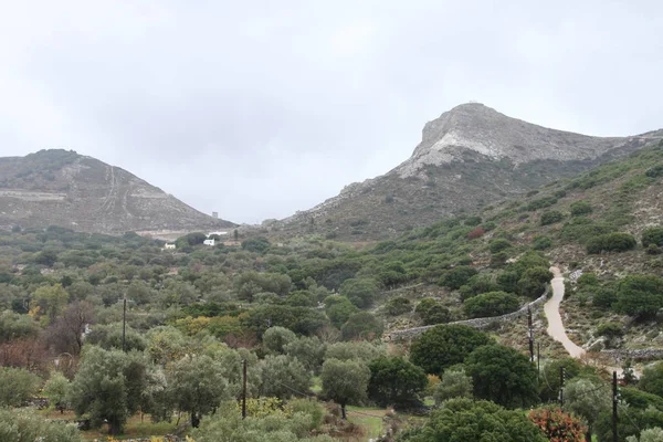 Tur Naxos Yunanistan — Stok fotoğraf