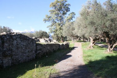 Yunanistan antik Sparta'da kalıntıları