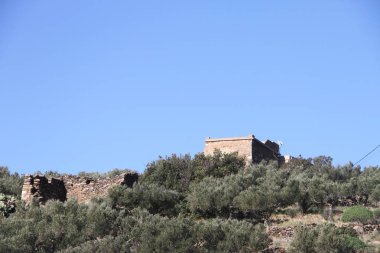 Mani il görünümünü