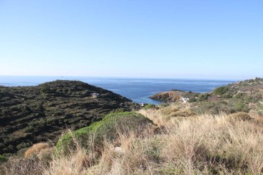 Mani il görünümünü