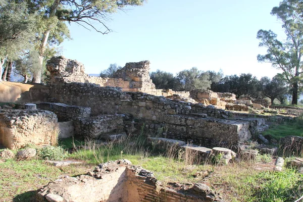 Ruínas Esparta Antiga Grécia — Fotografia de Stock