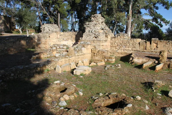Руины Древней Спарты Греции — стоковое фото