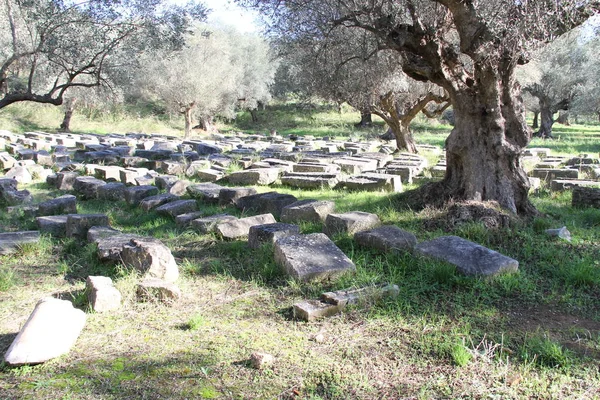 Rovine Dell Antica Sparta Grecia — Foto Stock