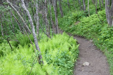 Dağlar, binaları, kiliseleri ve fiyortları şehir Tromso, Norveç, görünümü