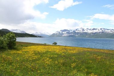 Lyngen Alps, Norveç, dağlar ve fiyortları