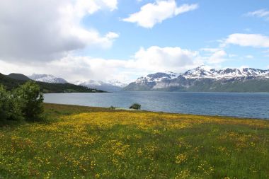 Lyngen Alps, Norveç, dağlar ve fiyortları
