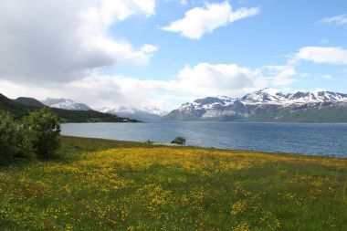 Lyngen Alps, Norveç, dağlar ve fiyortları