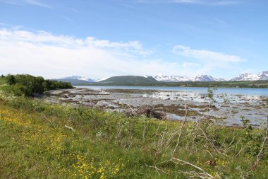 Lyngen Alps, Norveç, dağlar ve fiyortları