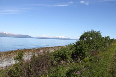 Lyngen Alps, Norveç, dağlar ve fiyortları