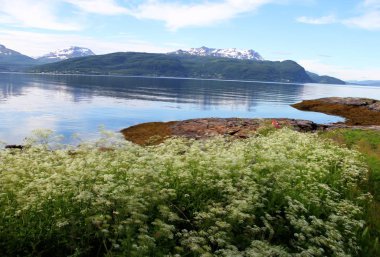 Adaları Kvaloya ve Senja, Norveç, dağlar, göller, Fiyordlar