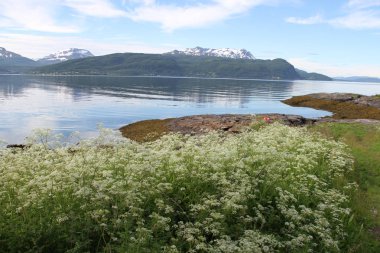 Adaları Kvaloya ve Senja, Norveç, dağlar, göller, Fiyordlar