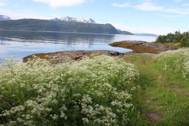 Adaları Kvaloya ve Senja, Norveç, dağlar, göller, Fiyordlar