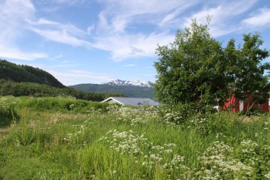 8/15/2017: Senja, Norveç: Kvaloya Adaları ve Senja, Norveç, dağlar, göller, Fiyordlar
