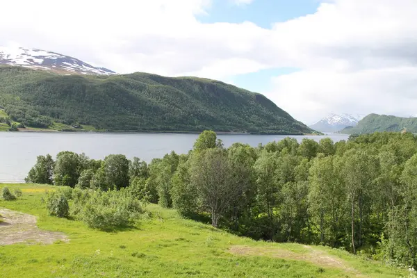 Lyngen 阿尔卑斯 山脉和峡湾 — 图库照片