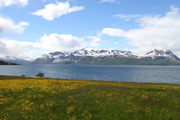 Lyngen 阿尔卑斯 山脉和峡湾 — 图库照片