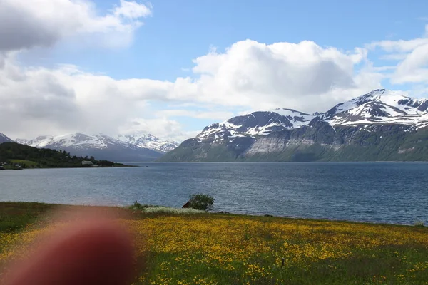 Lyngen Alps Noruega Montañas Fiordos —  Fotos de Stock