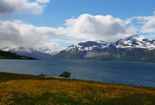 Lyngen 阿尔卑斯 山脉和峡湾 — 图库照片