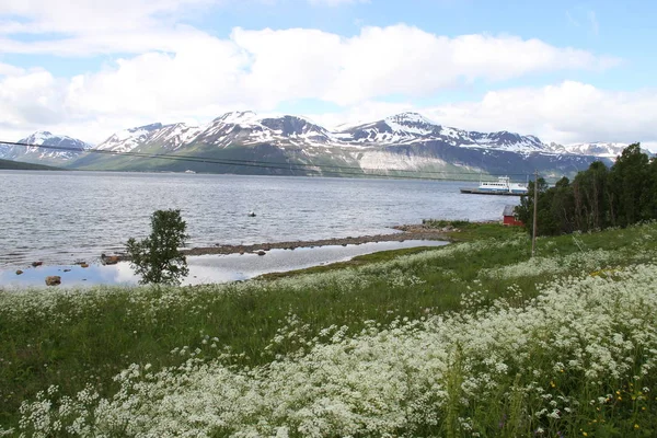 Lyngen 阿尔卑斯 山脉和峡湾 — 图库照片