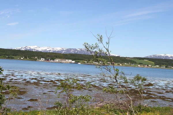 Lyngen Alpen Noorwegen Bergen Fjorden — Stockfoto