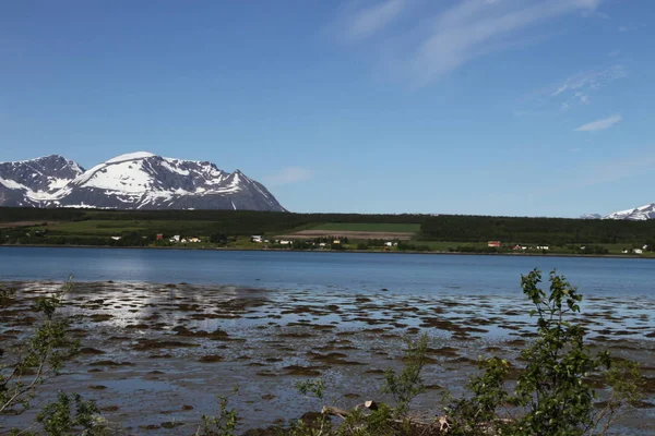 Lyngen Alpen Noorwegen Bergen Fjorden — Stockfoto