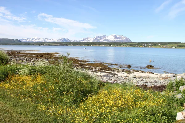 Lyngen Alpen Noorwegen Bergen Fjorden — Stockfoto