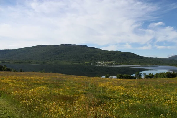 Isole Kvaloya Senja Norvegia Montagne Laghi Fiordi — Foto Stock