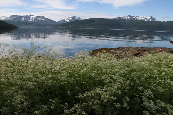 Islands Kvaloya Senja Norway Mountains Lakes Fjords — Stock Photo, Image