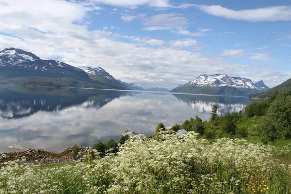 Adaları Kvaloya Senja Norveç Dağlar Göller Fiyordlar — Stok fotoğraf