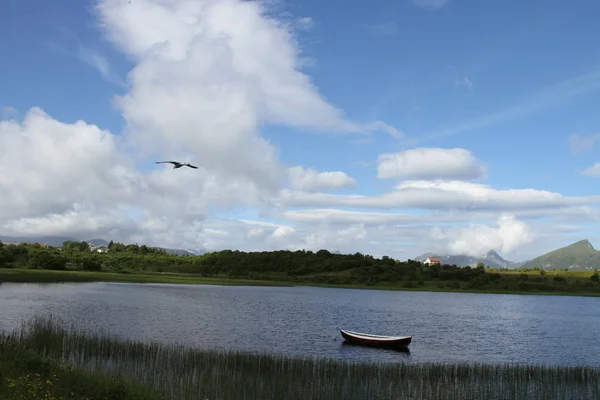 Península Lofoten Noruega Montanhas Lagos Fiordes — Fotografia de Stock