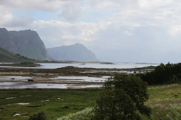 Lofoten Poloostrov Norsko Hory Jezera Fjordy — Stock fotografie