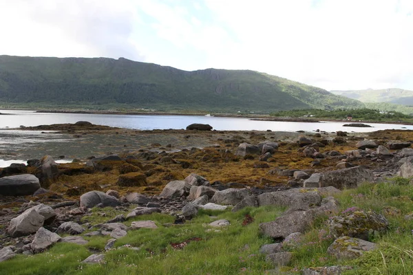 Lofoten Yarımadası Norveç Dağlar Göller Fiyortları — Stok fotoğraf