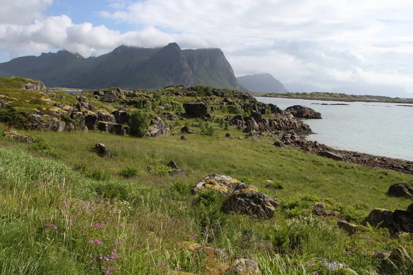 ロフォーテン諸島半島 ノルウェー フィヨルド — ストック写真
