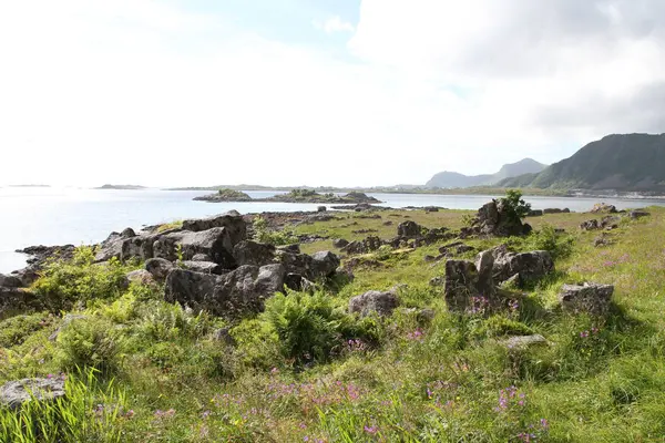 Lofoten Norwegen Berge Seen Und Fjorde — Stockfoto