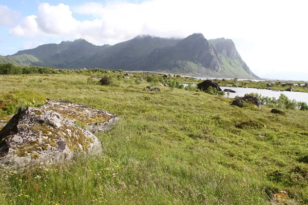 Lofoten Poloostrov Norsko Hory Jezera Fjordy — Stock fotografie