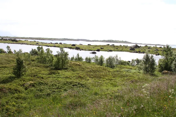 Península Lofoten Noruega Montanhas Lagos Fiordes — Fotografia de Stock