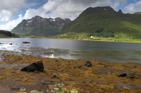 Lofoten Χερσόνησος Νορβηγία Βουνά Λίμνες Και Φιορδ — Φωτογραφία Αρχείου