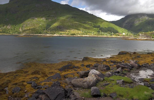 Lofoten Poloostrov Norsko Hory Jezera Fjordy — Stock fotografie