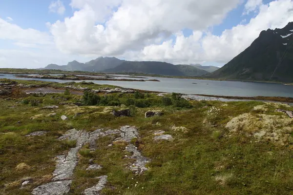 Schiereiland Van Lofoten Noorwegen Bergen Meren Fjorden — Stockfoto