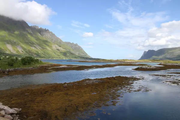 Península Lofoten Noruega Montanhas Lagos Fiordes — Fotografia de Stock