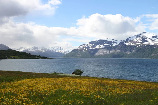 Lyngen アルプス ノルウェー 山とフィヨルド ストック画像