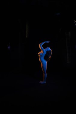 Bir akrobat modelinin fotoğrafı.