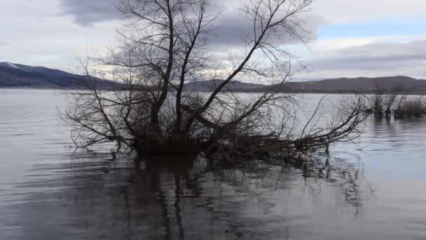 View Washoe Lake Nevada — Stock Video