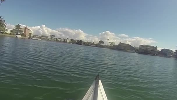 2020 Foster City Californie Kayak Dans Les Lagunes — Video